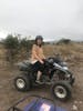 ATVs