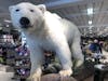 Polar Bear in one of the local shops