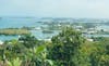 Bermuda View