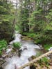 River of glacier water from our zip lining tour