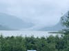 Mendenhall Glacier