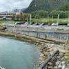 Salmon Hatchery