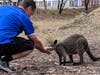 Great Ocean Road Tour