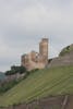 Rhine River Gorge