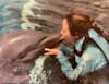 Dolphin experience 