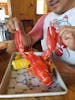 Maine Lobster