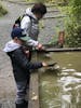 Gold panning. 