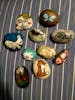 Rocks I painted @ home & brought to hide on the ship and @ ports. CLARKSVILLE TN ROCKS on Facebook JennA is my signature on the back. They were mostly hid in Key West Florida along the pier!