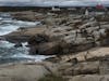 Peggy's Cove 