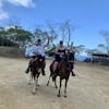 Snorkeling and riding horses