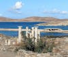 Delos ruins