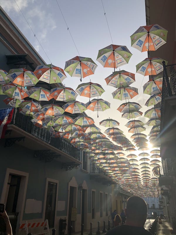Umbrella street - Harmony of the Seas