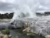 Pohutu Geyser At Te Puia Thermal Reserve