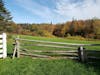 Meadow at Anne of Green Gables - really can't view this from the ship :)