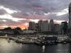 Coming into Sydney Harbour on the Sun Princess 