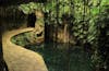Cenote Swim/ Lazy River from excursion 