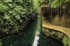 Cenote Swim/Lazy River from excursion 