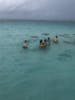 Swimming with stingrays 