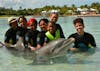 Kelly the Dolphin Encounter