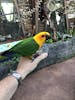 Feeding the birds in the port area