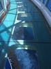 Glass walkway