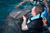 Kissing a dolphin 