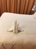 Our first Towel Animal