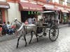 Horse and carriage used to take people around the city.