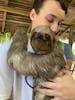 Daniel Johnson's Monkey and Sloth Hang Out - 