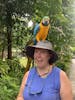 Holding a parrot at Konoko Falls