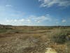 Aruba One Happy Island. Atlantic side. Dry lands