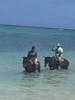 Horseback riding at the beach was awesome. 