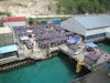 Markets at the port