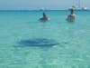 A sting ray swam by us twice while we were swimming. 