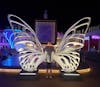 Butterfly wings on Pool deck