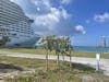 A view from Ocean Cay