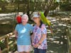 Parrots at Gumbalimba