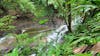 Waterfall at the Veragua Rainforest
