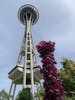 Space Needle viewed from Chilhuly Gardens. 