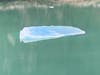 A lovely floating iceberg near Dawes. 