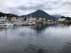 Sitka as seen from the harbor. (Wildlife cruise)