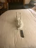 My cute towel bunny