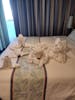 Towel Animal's from the Cruise.