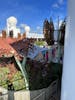 Rooftop Garden 