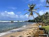 Bathsheba Park and Beach on Barbados