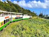 The St. Kitts Scenic Railway