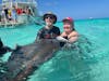 Sting Ray Encounter