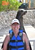 Sea lion excursion on blue lagoon island