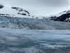 Mendenhall Glacier