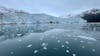 Kenai Glacier cruise